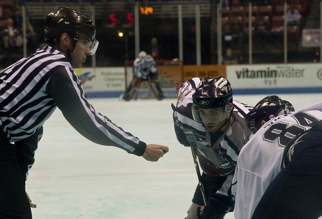 Česi a Slováci v NHL